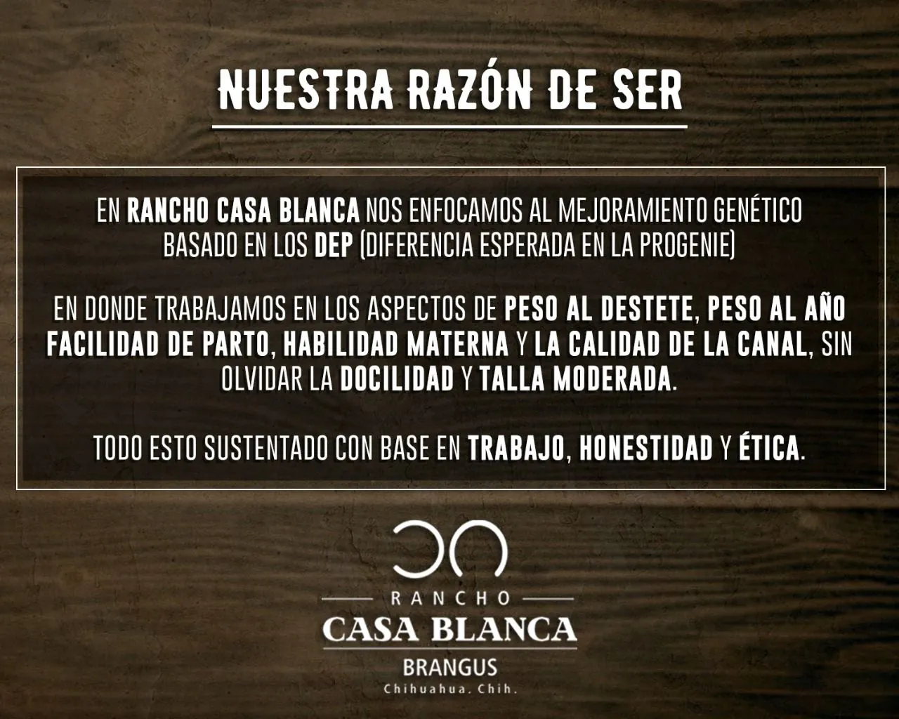 Filosofía y Razón de Ser 1